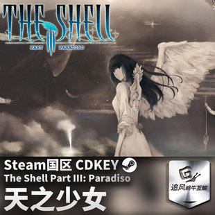 正版 国区激活码 天之少女 CDKEY 游戏 Steam