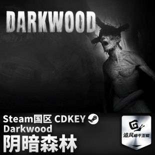 Steam 正版 PC 游戏 阴暗森林 Darkwood 国区激活码 CDKEY