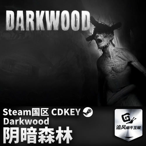 Steam 正版 PC 游戏 阴暗森林 Darkwood 国区激活码 CDKEY