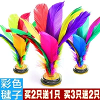 . Feather duster bộ sưu tập lớn trẻ em người lớn trò chơi thể dục ngỗng lông bóng học sinh màu chính - Các môn thể thao cầu lông / Diabolo / dân gian cầu lông gà