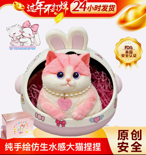 【三八节礼物】纯手绘仿生胖猫捏捏乐猫水感捏捏软弹解压安全硅胶