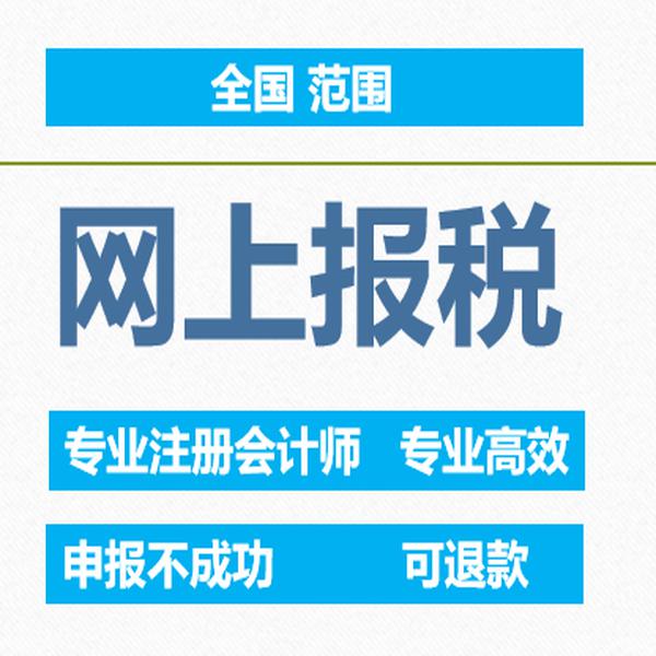 网上远程报税全国小规模一般纳税人0申报零申报税务申报纳税申报