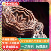 blender插件 分形生成器艺术复杂且详细预设 1.4 Fractal Machine