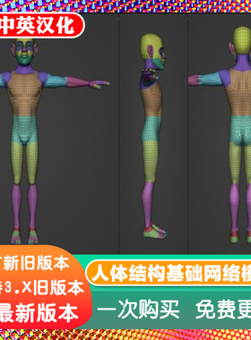 Blender资产 Base Meshes 人体基础网格模型雕刻绑定面部手脚牙眼