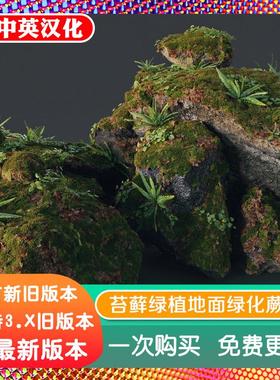 Blender预设 Moss Scatter 5 资产苔藓绿植地面庭院绿化蕨类石头