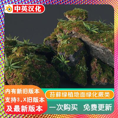 Blender预设 Moss Scatter 5 资产苔藓绿植地面庭院绿化蕨类石头