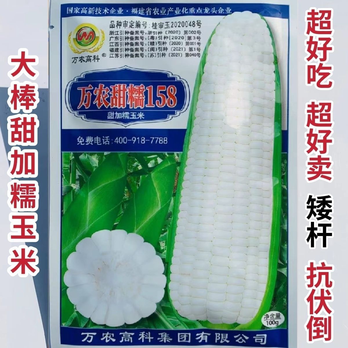 万农甜糯158玉米种子甜加糯白玉米种籽农家春秋播鲜食玉米苞谷种