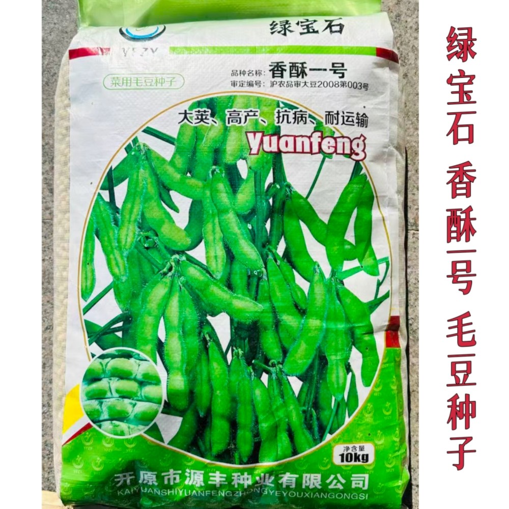 绿宝石香酥一号毛豆种子大荚中熟丰产菜豆种籽农家春播青毛豆种孑