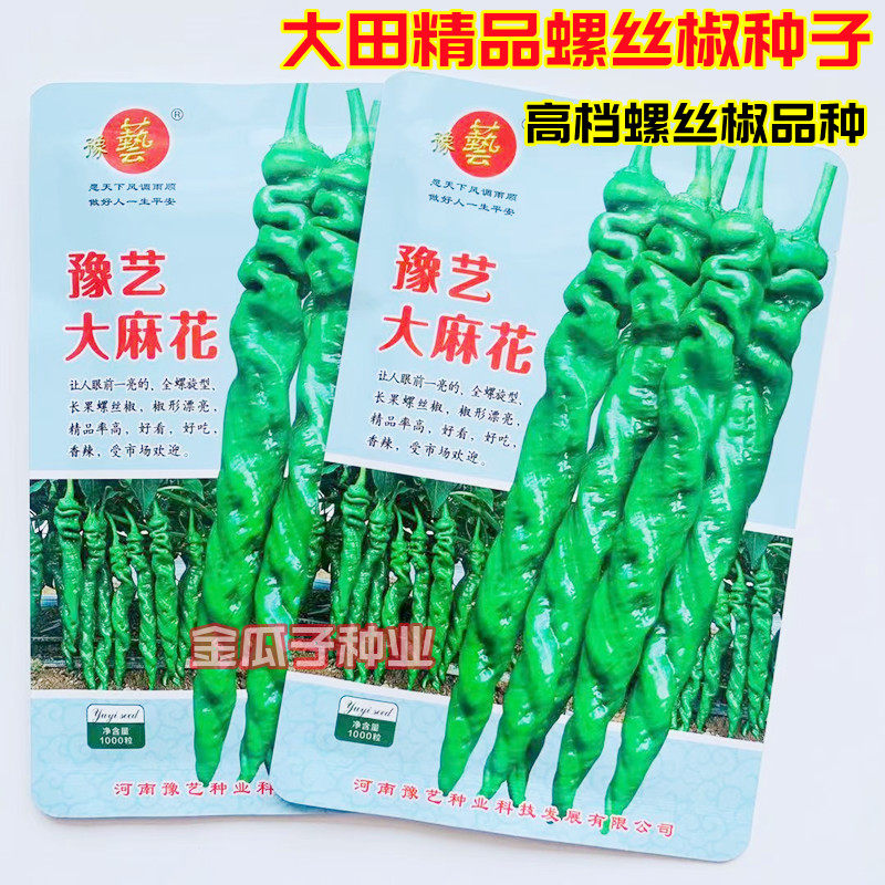 豫艺大麻花螺丝椒种子香辣高产