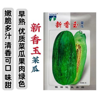湖南新香玉菜瓜种子味甜绿皮绿肉优质甜瓜种子清香可口甜瓜种籽
