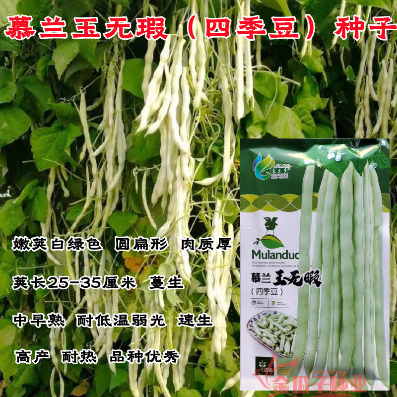 慕兰玉无瑕架豆无纤维耐老化耐热