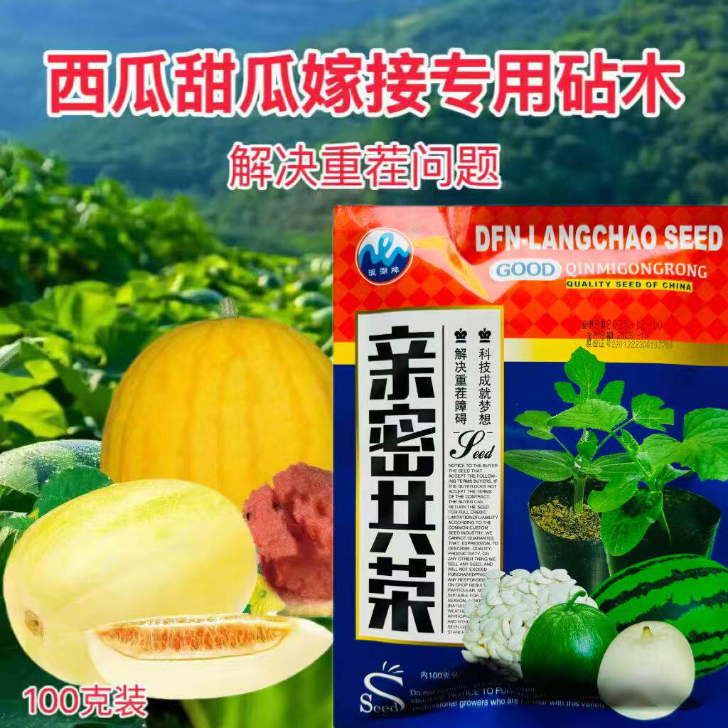 亲密共荣西瓜甜瓜嫁接南瓜钻木种子解决重茬问题优质种籽孑