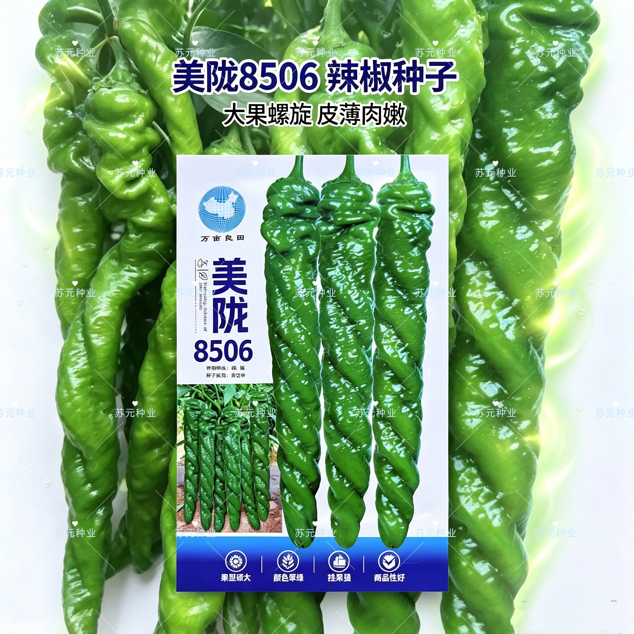 美陇8506螺丝椒种子早熟螺旋度好耐热抗寒皮薄味香辣长果螺丝椒籽
