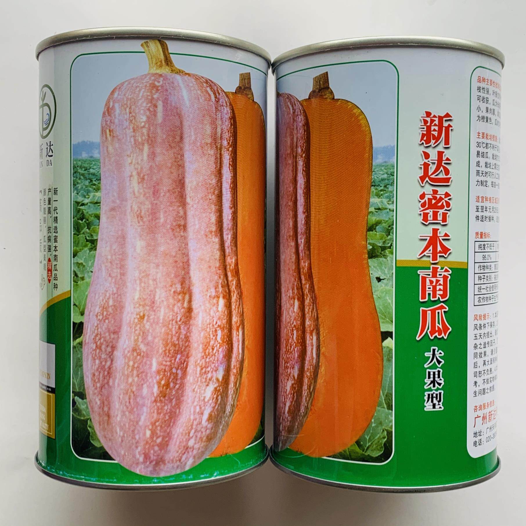 蜜本南瓜种子大果型南瓜种籽味甜水分少粉糯橙红肉超甜南瓜种