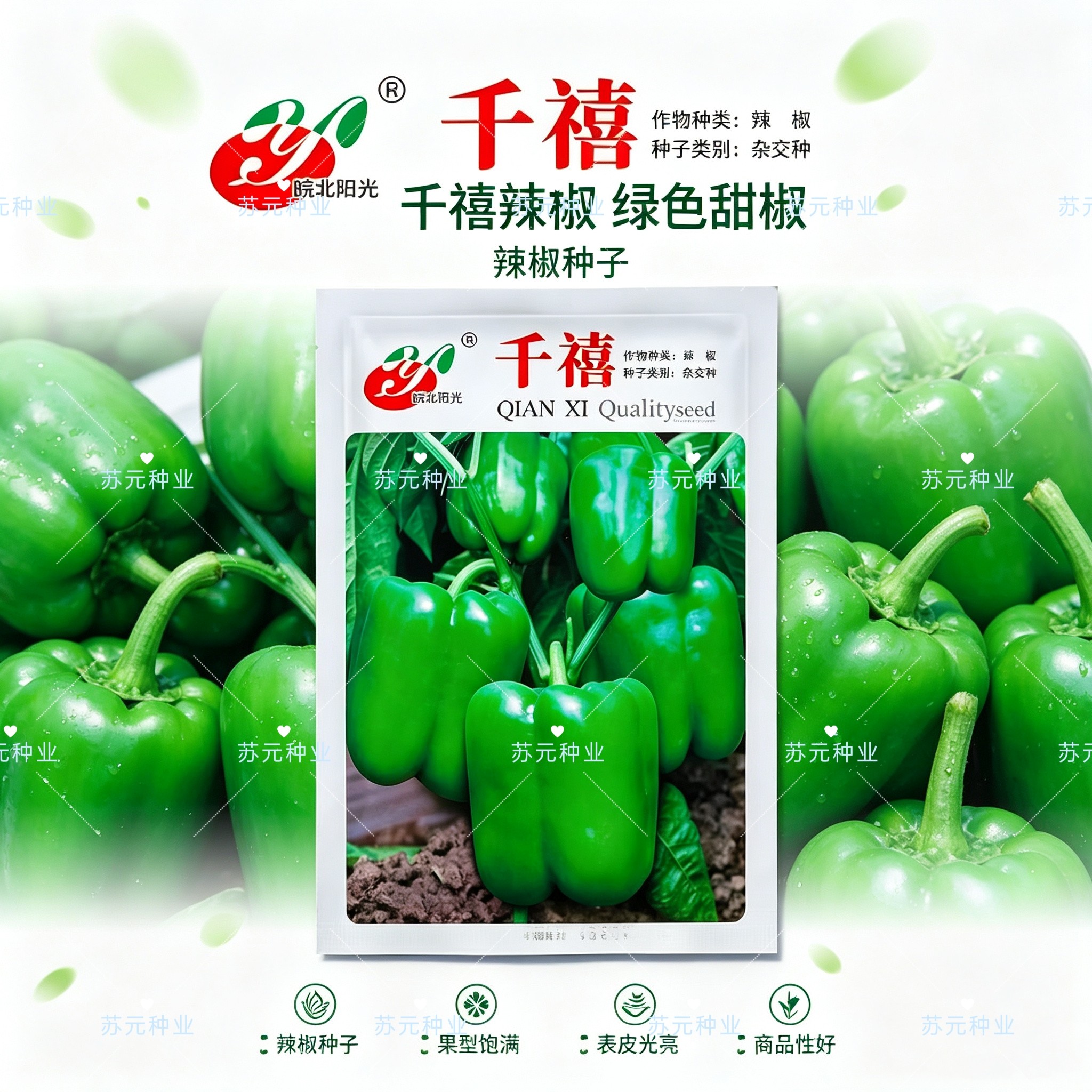 千禧甜椒种子早熟长圆形辣椒种子抗病耐湿热耐寒灯笼椒种子青椒籽