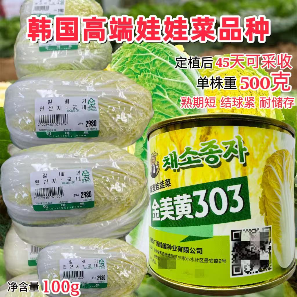 金美黄303娃娃菜种子韩国引进高产黄心娃娃菜种孑小型黄白菜籽
