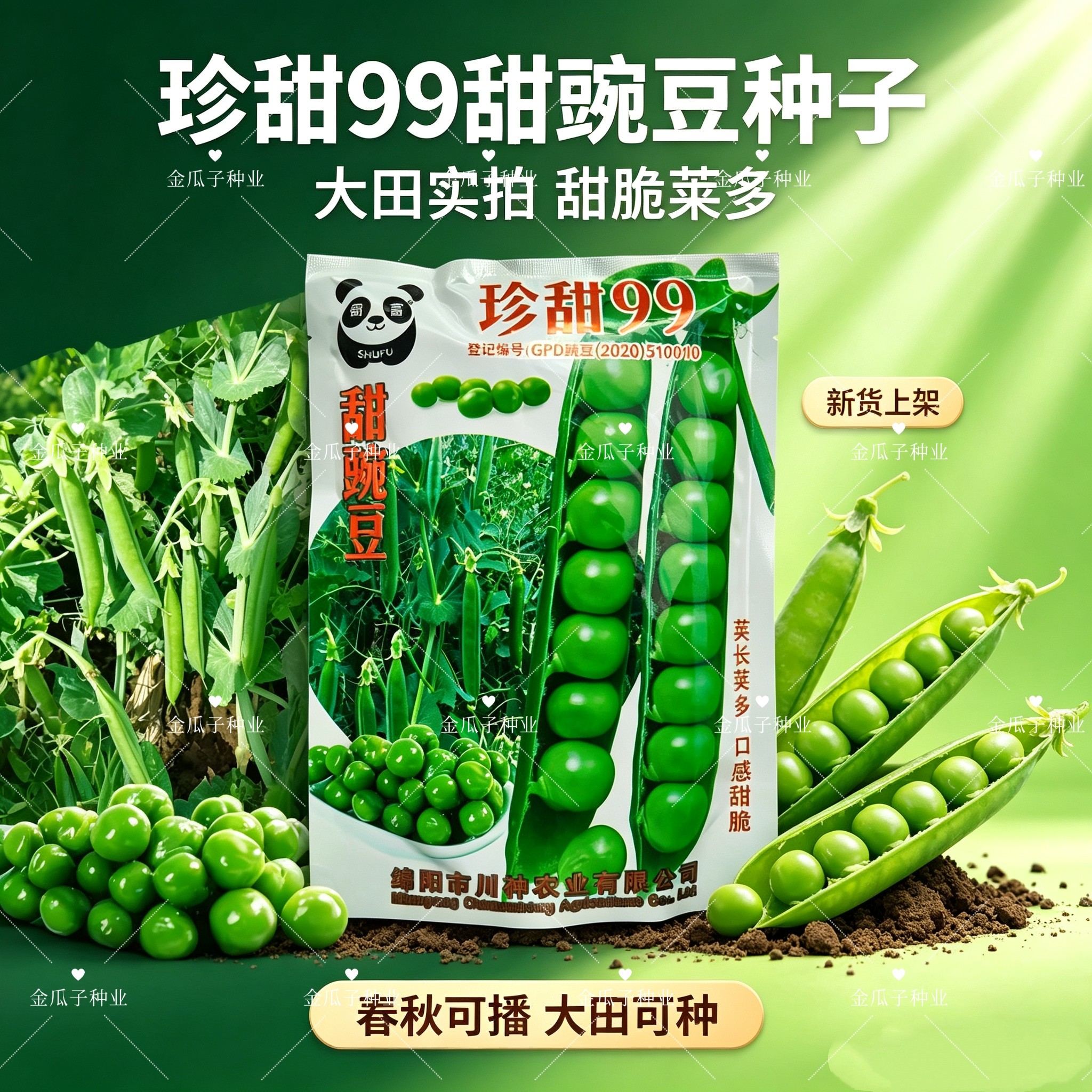 珍甜99水果豌豆种子甜脆荚长荚多豆荚大品质好豌豆仁种籽大田用种