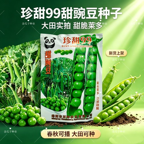 珍甜99水果豌豆种子甜脆荚长荚多豆荚大品质好豌豆仁种籽大田用种