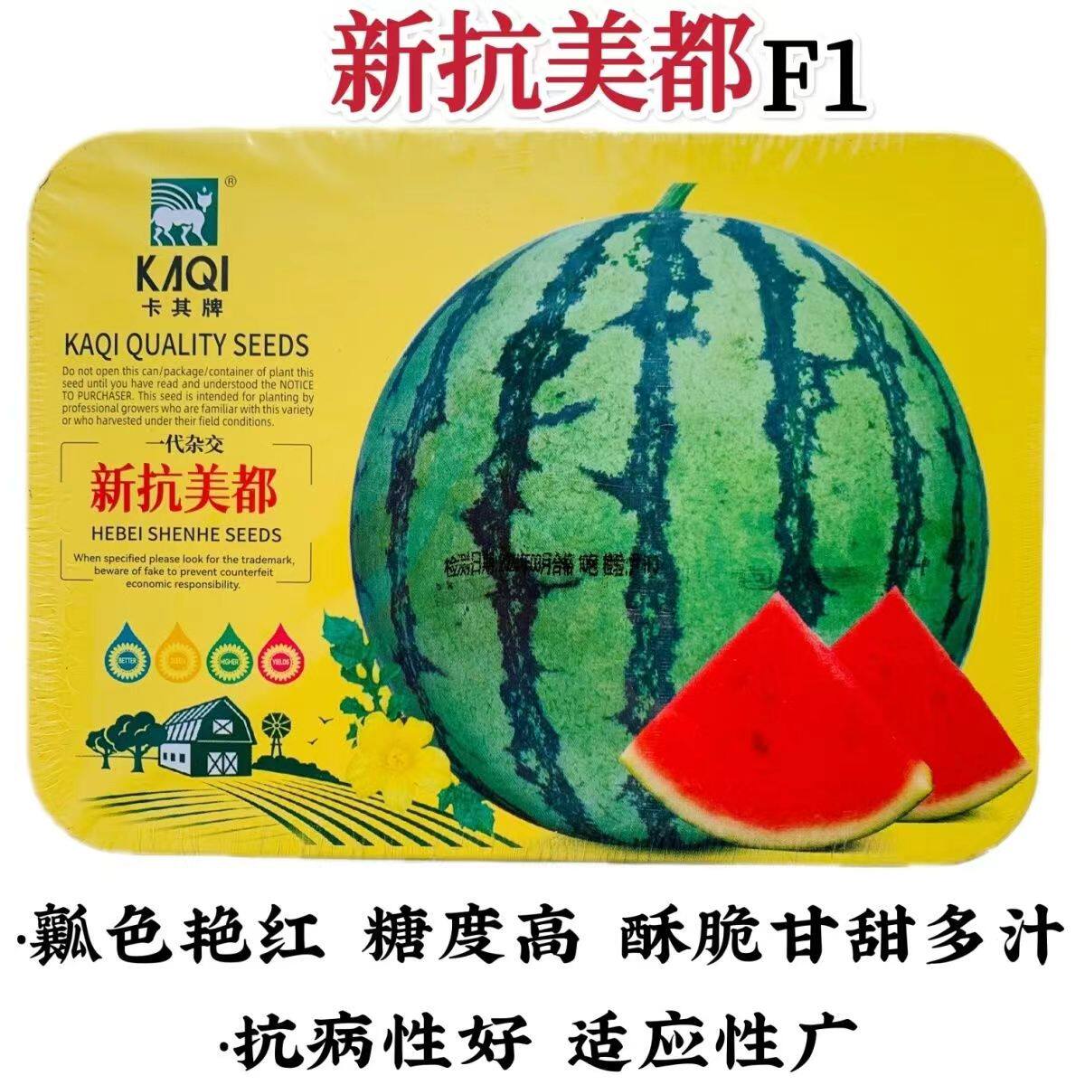 新抗美都西瓜种子新品种杂交一代圆形西瓜种籽瓤色艳红酥脆糖度高
