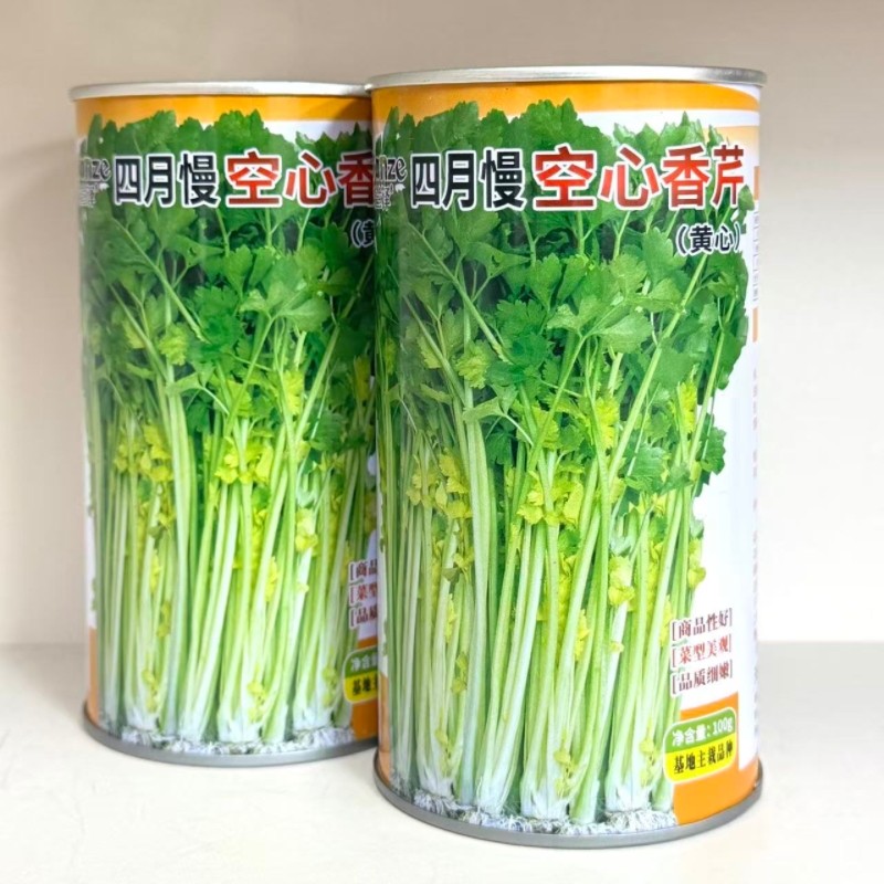 四月慢黄心芹种子叶绿杆空心黄心耐抽苔芹菜香芹种籽基地大户专用