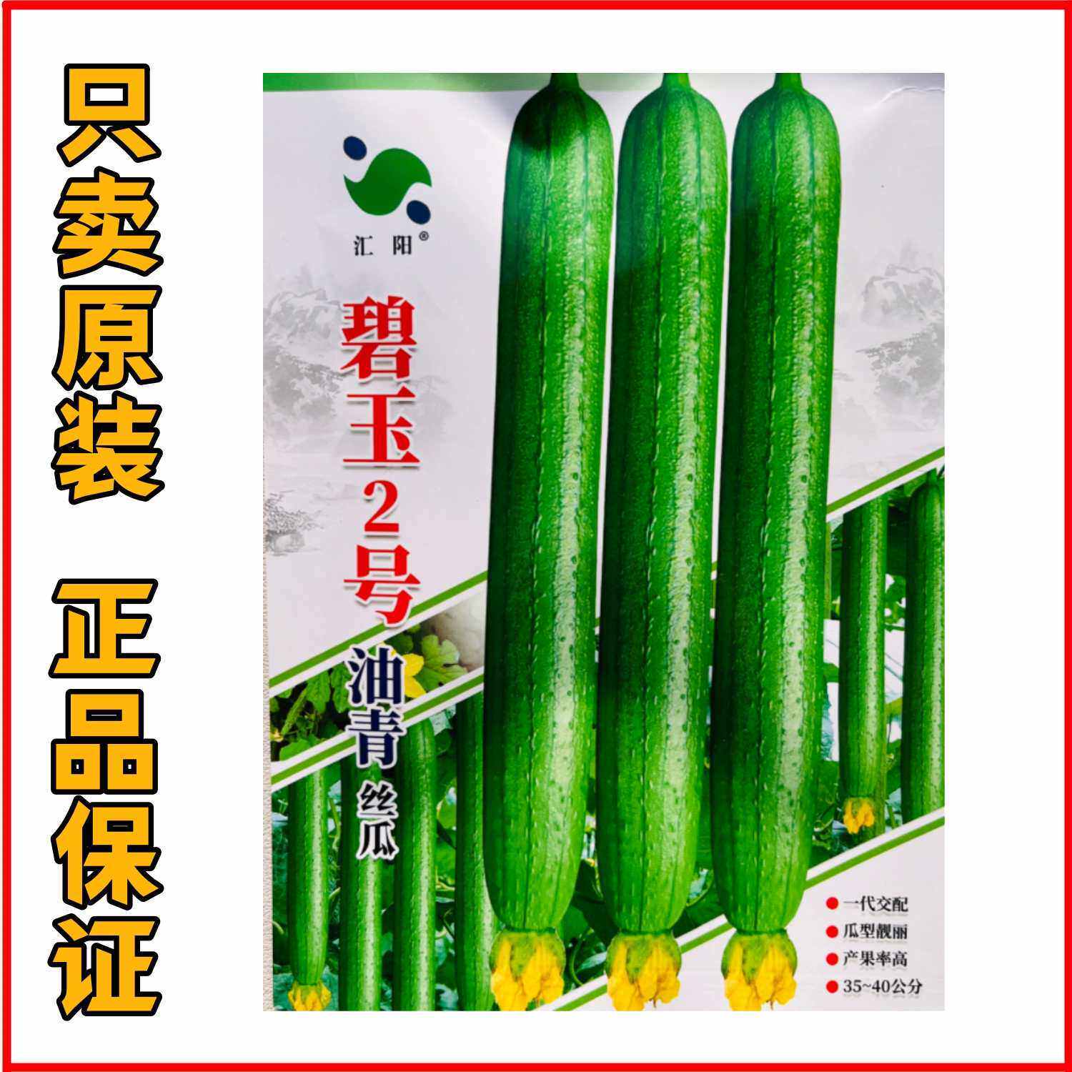 碧玉2号油青丝瓜油绿皮丝瓜种籽高产春秋香蕉丝瓜种子大田专用种