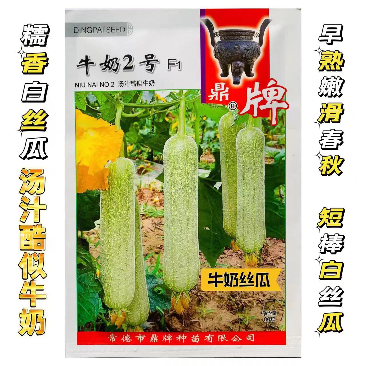 牛奶2号丝瓜种子早熟高产