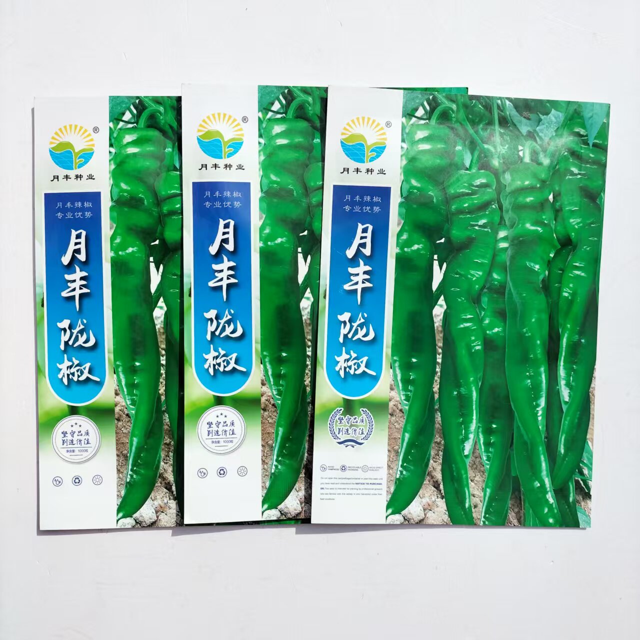 月丰陇椒种子特大螺丝椒种籽椒辣椒种子基地四季种植高产蔬菜籽