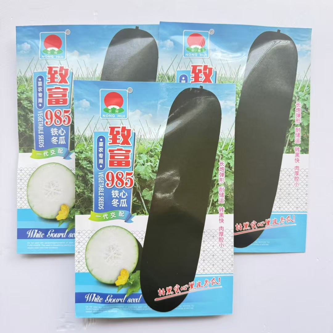 致富985铁心冬瓜种籽广东特大黑皮炮弹型冬瓜种子广东春秋两季播
