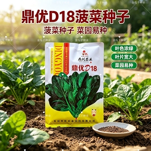鼎优D18菠菜种子抗热耐寒耐湿圆叶红根菠菜种籽春秋菠菜种孑春秋
