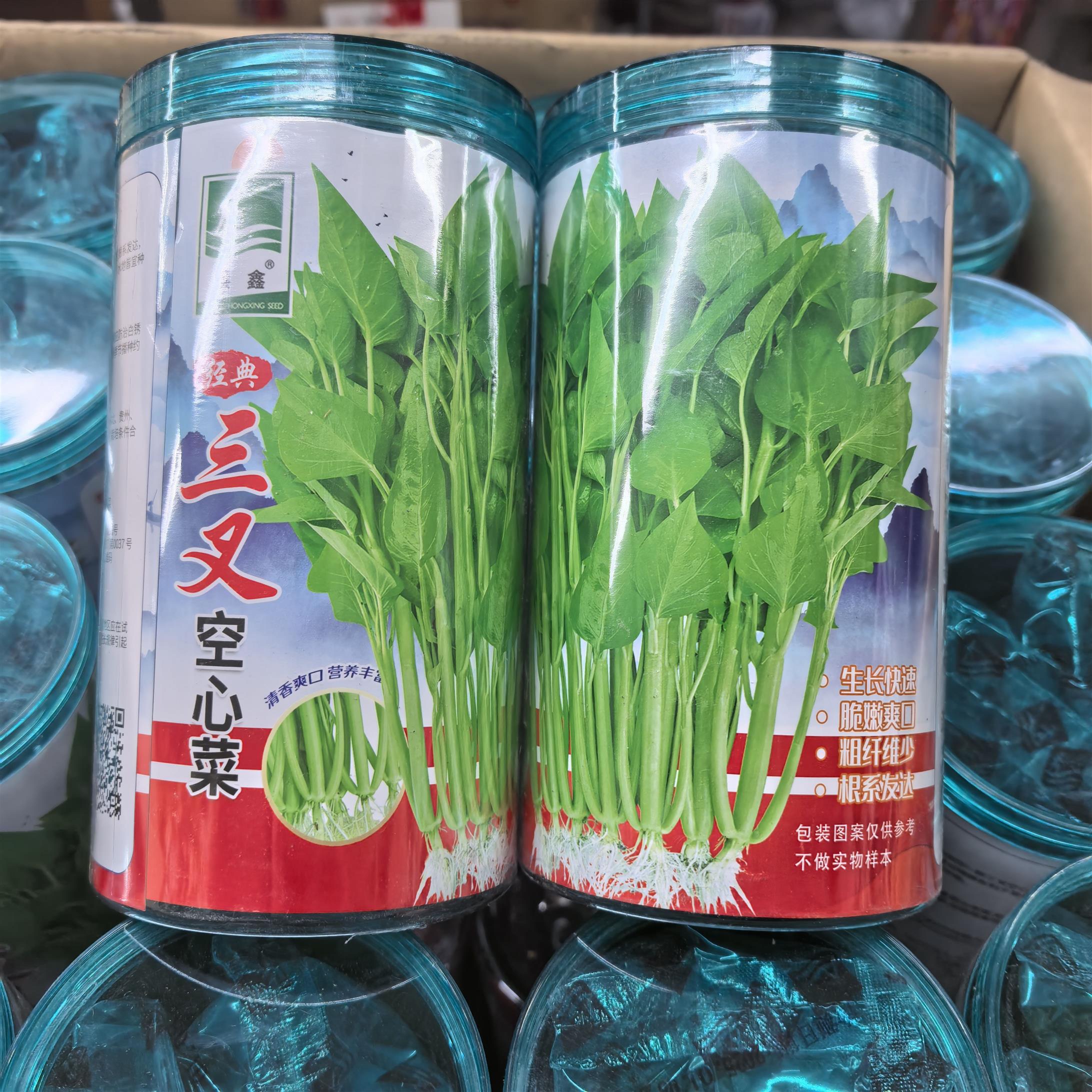 洪鑫进口三叉空心菜种子通心菜种籽高产抗病耐热春夏秋播蔬菜种孑