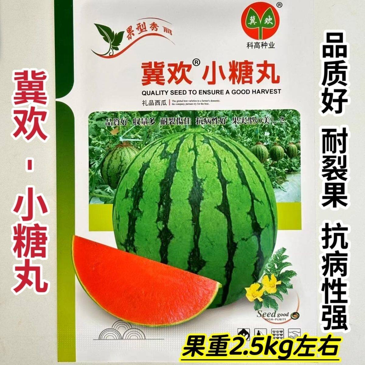冀欢小糖丸早熟一代杂交小型礼品西瓜种子花皮圆形瓤红质脆抗病强