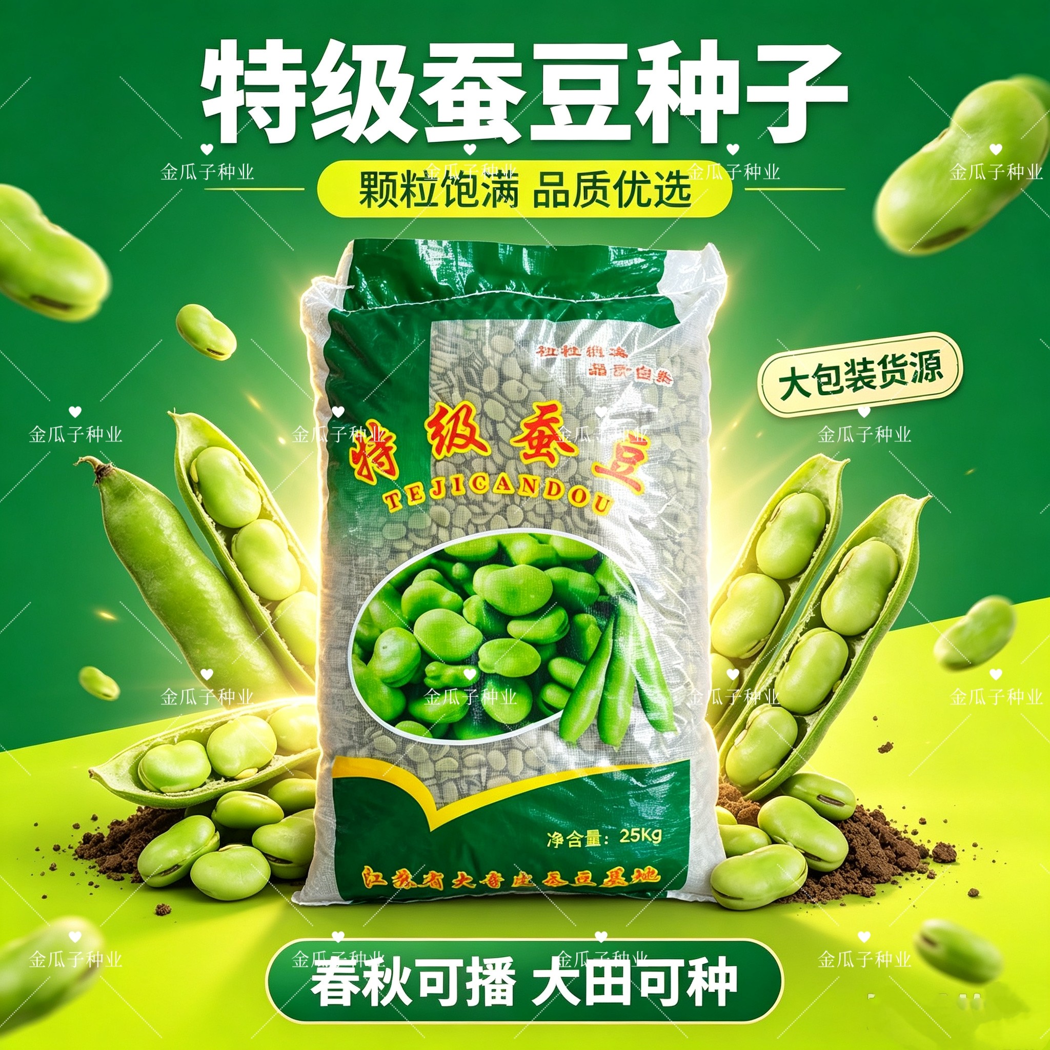 蚕豆种子特大白皮蚕豆高产日本胡豆农家罗汉豆种子秋冬耐寒蔬菜籽