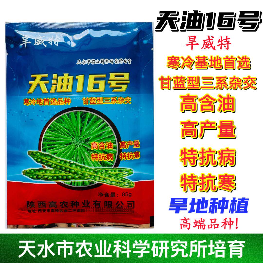 天油16号油菜种子高产抗病耐热耐寒农家菜园基地种植蔬菜油菜种籽