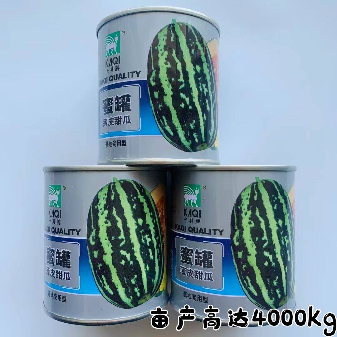 蜜罐薄皮甜瓜种子中早熟花皮香瓜种籽抗逆抗逆强稳产丰产春秋栽培