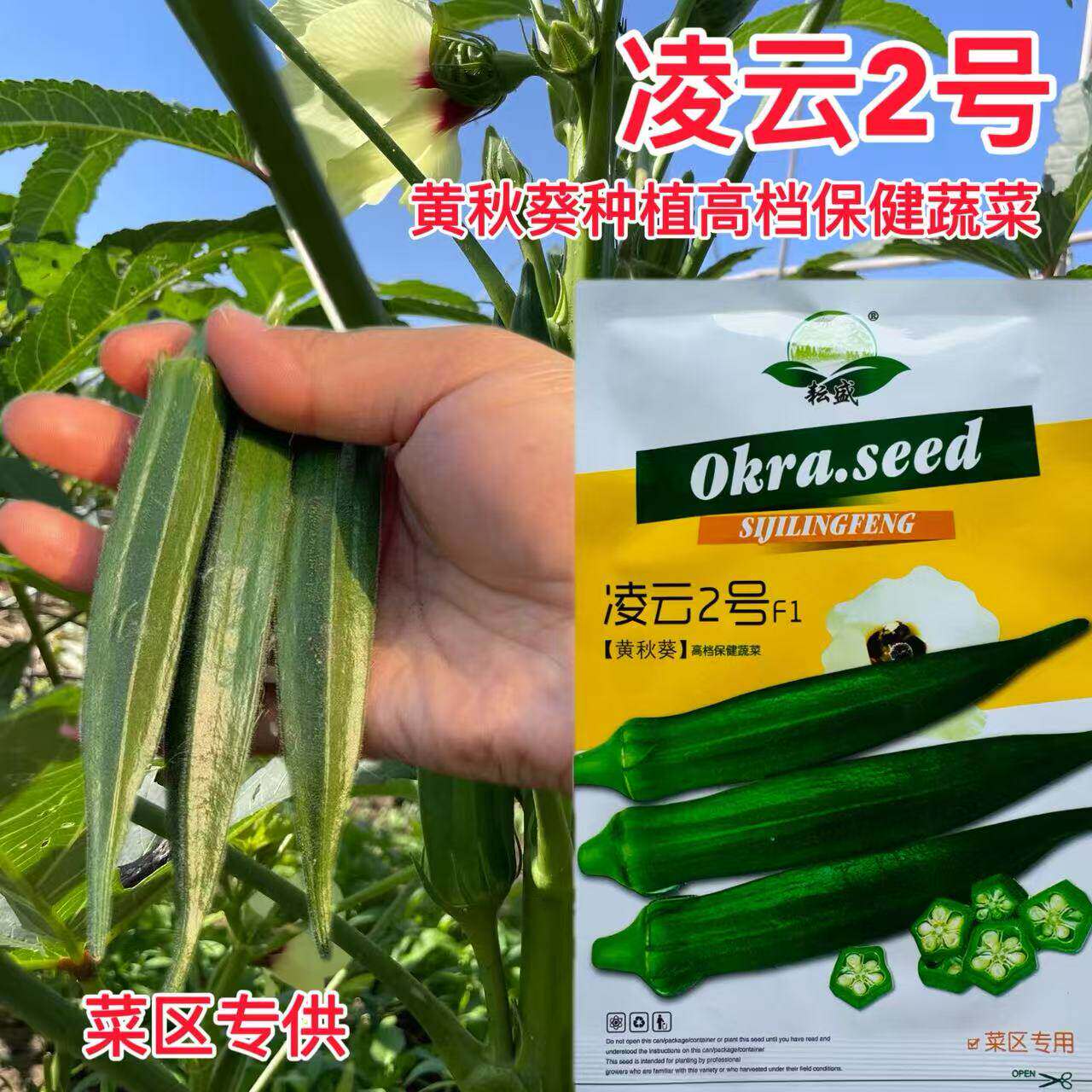 凌云2号秋葵种子高端水果黄秋葵春播菜农蔬菜籽杂交黄秋葵种籽孑