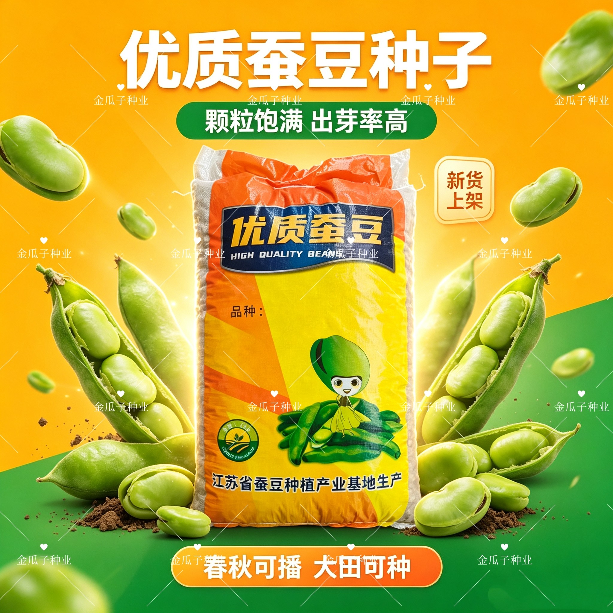 优质大白皮蚕豆种子大粒蚕豆胡豆罗汉豆耐寒春秋播种大籽蚕豆种子