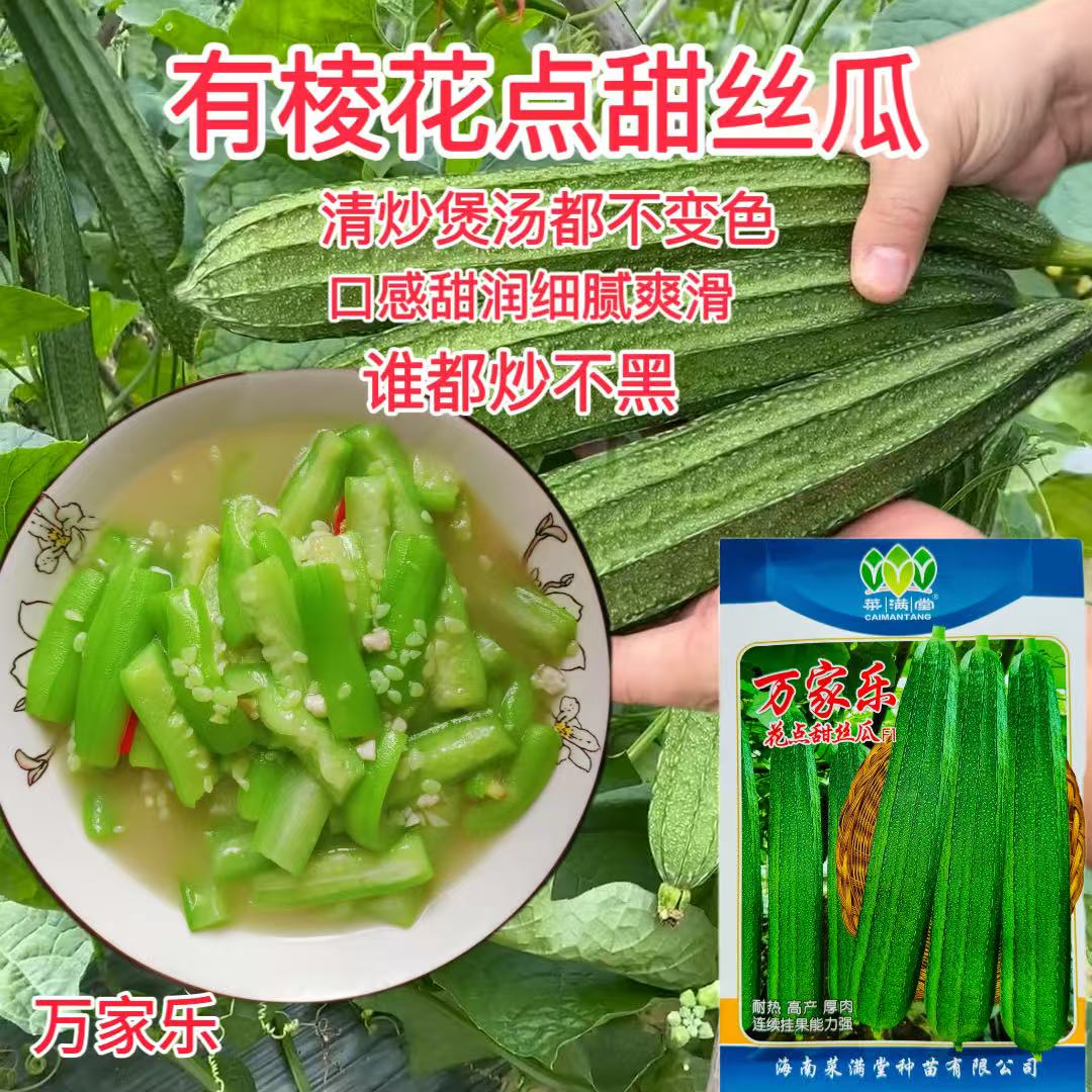 万家乐花点甜丝瓜种子早熟耐热抗病挂果多杂交一代厚肉棱丝瓜种籽
