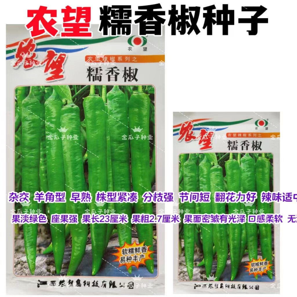 糯香椒辣椒早熟味辣质脆挂果多
