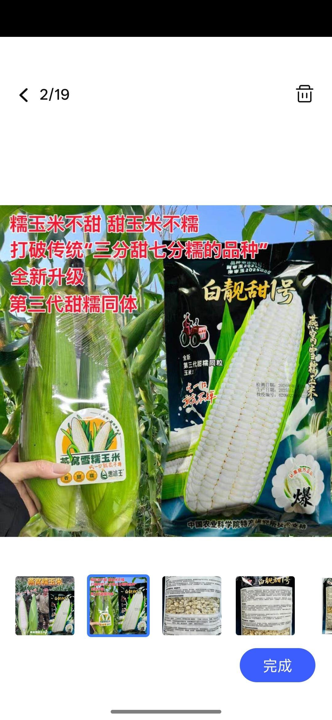 白靓甜1号糯玉米种子高产大棒甜糯玉米种籽春夏秋播燕窝雪糯玉米