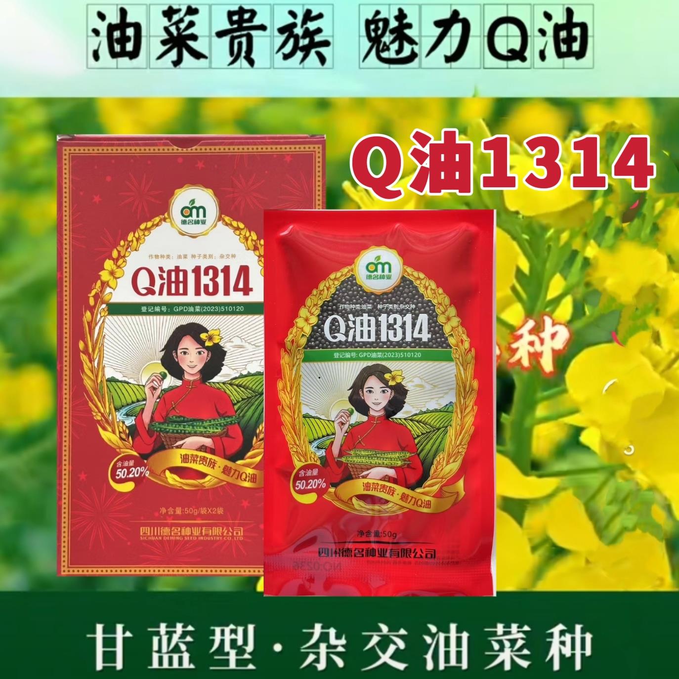 Q油1314杂交油菜种子矮杆抗病抗倒伏高产早熟甘蓝型杂交油菜种籽