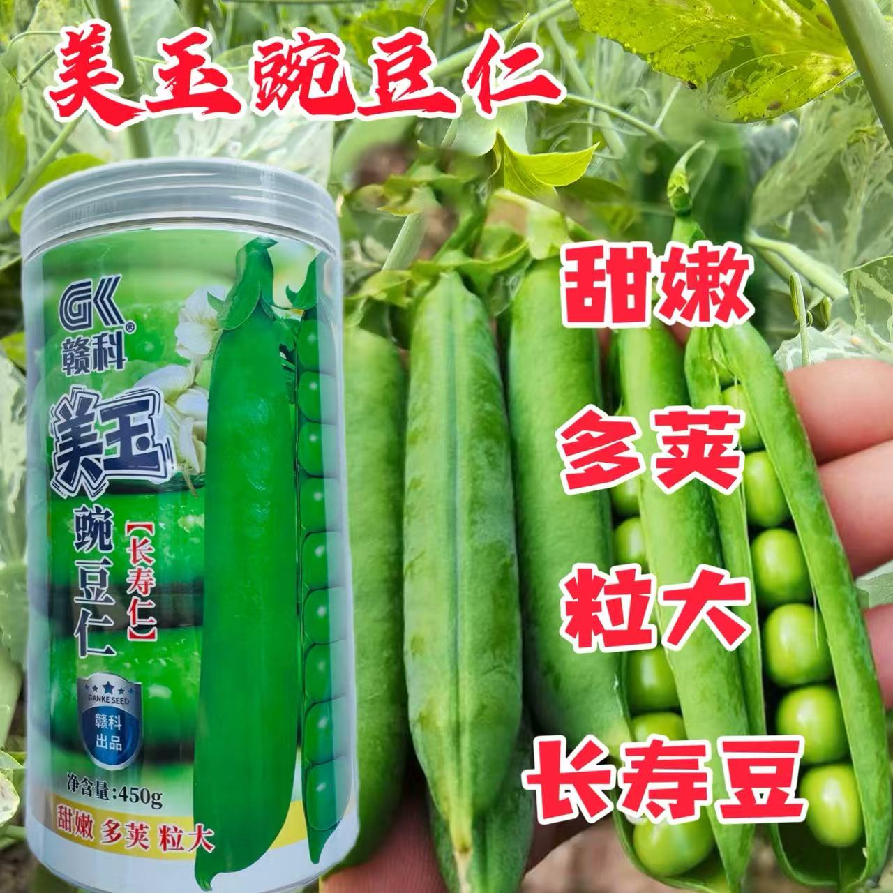 赣科美玉豌豆仁长寿仁豌豆种子大田基地专用长寿仁豌豆种子开白花