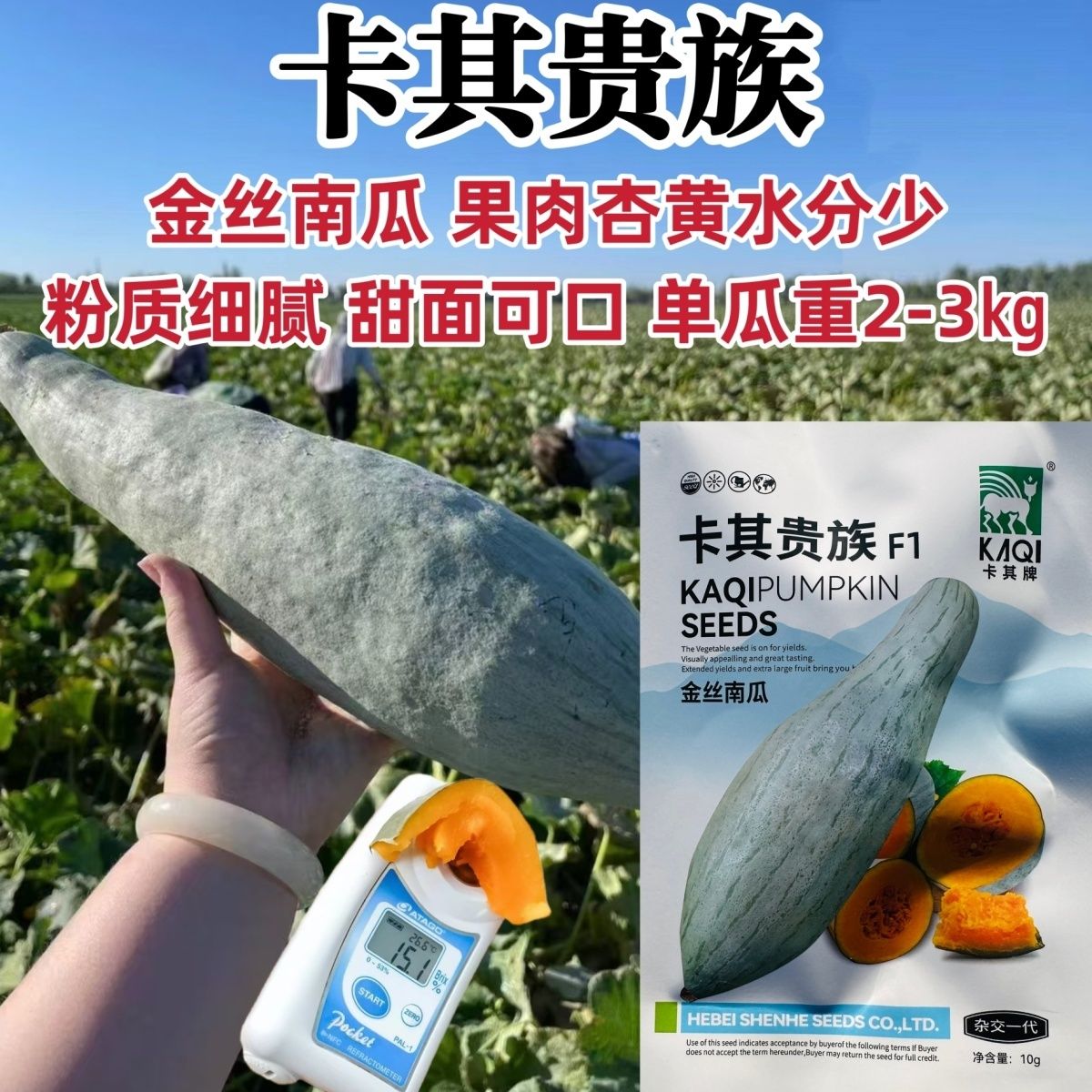 卡其贵族南瓜种子金丝南瓜种籽新疆丑瓜种子春秋粉糯甜面栗瓜种子