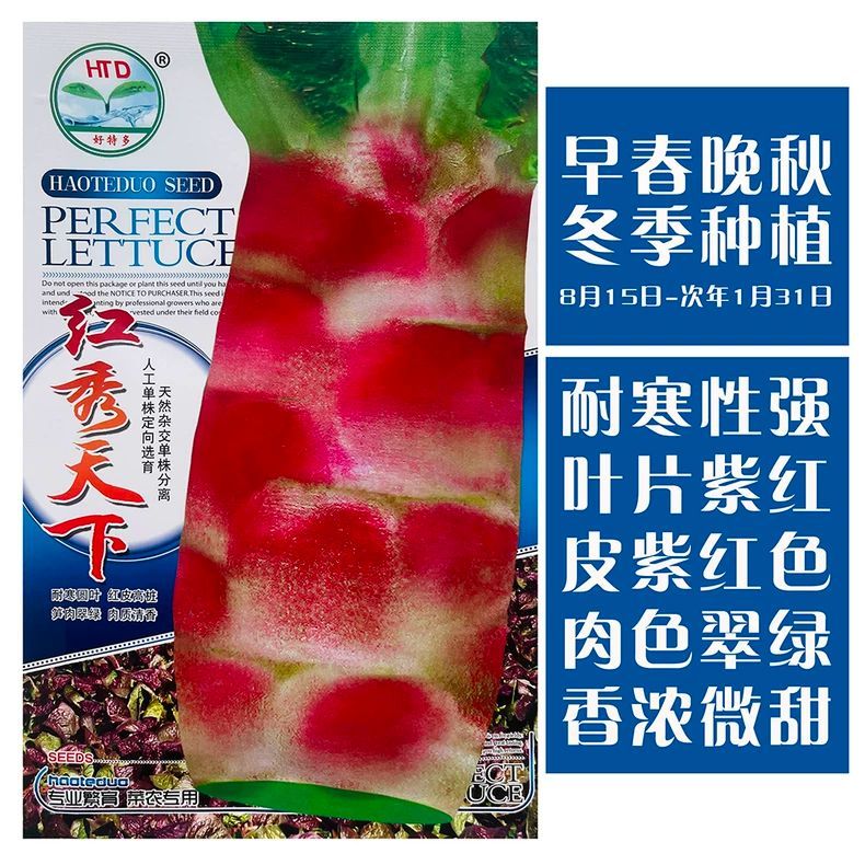 红秀天下莴笋种子耐寒莴笋种籽大圆叶红莴苣种孑香笋红皮青肉原装