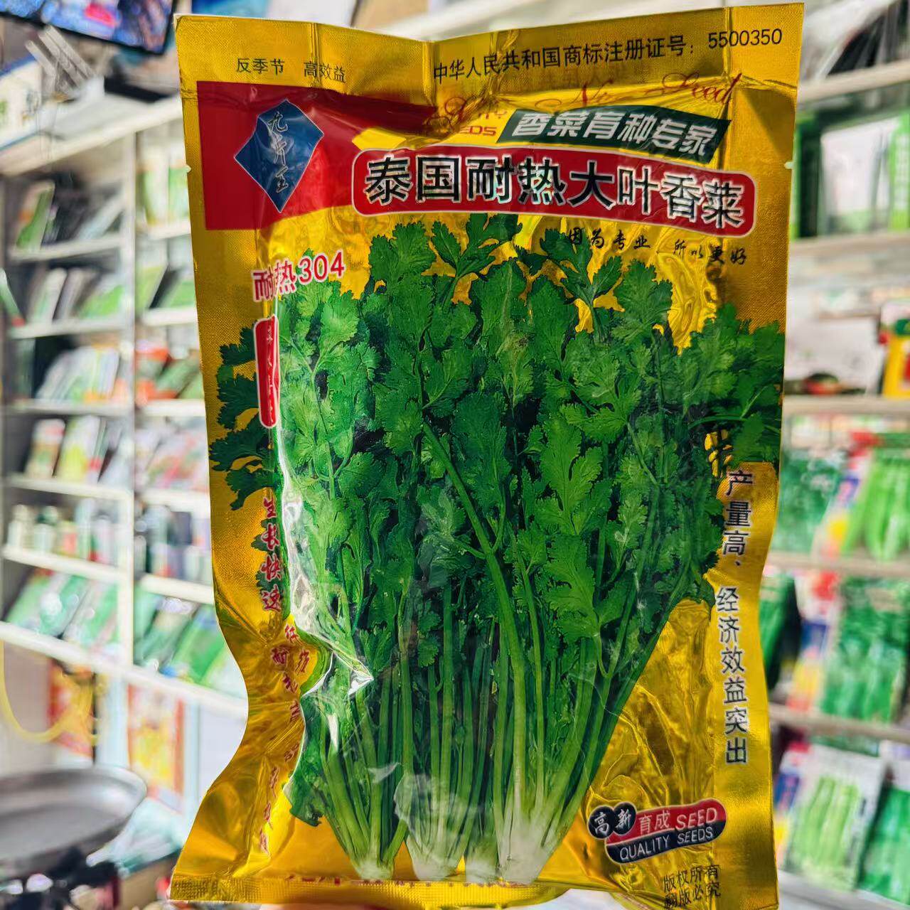 泰国耐高温香菜种子抗热抗病丰产大叶香菜种子南北方农家四季播种