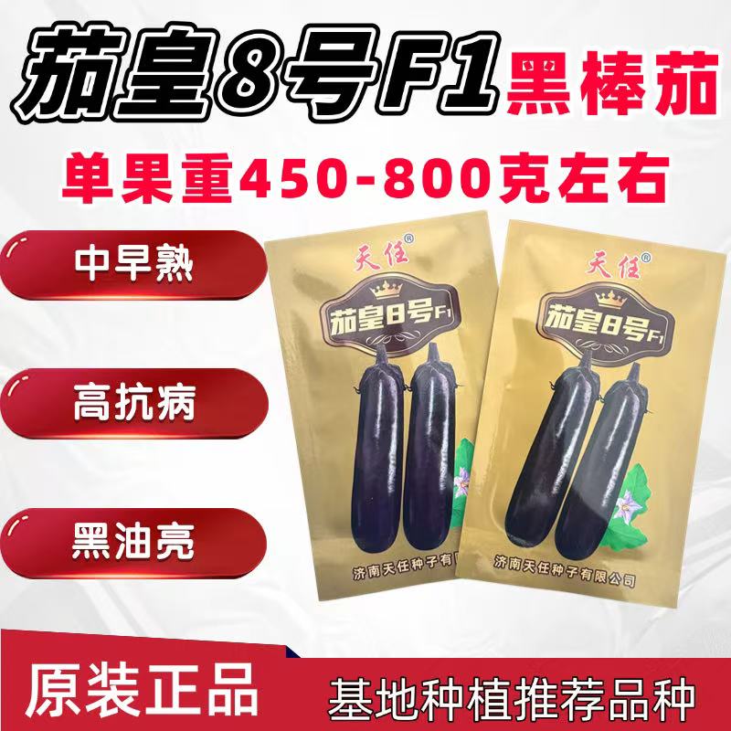 茄皇8号紫龙红茄种子黑亮长棒茄子5g杂交中早熟紫萼茄无畸形基地