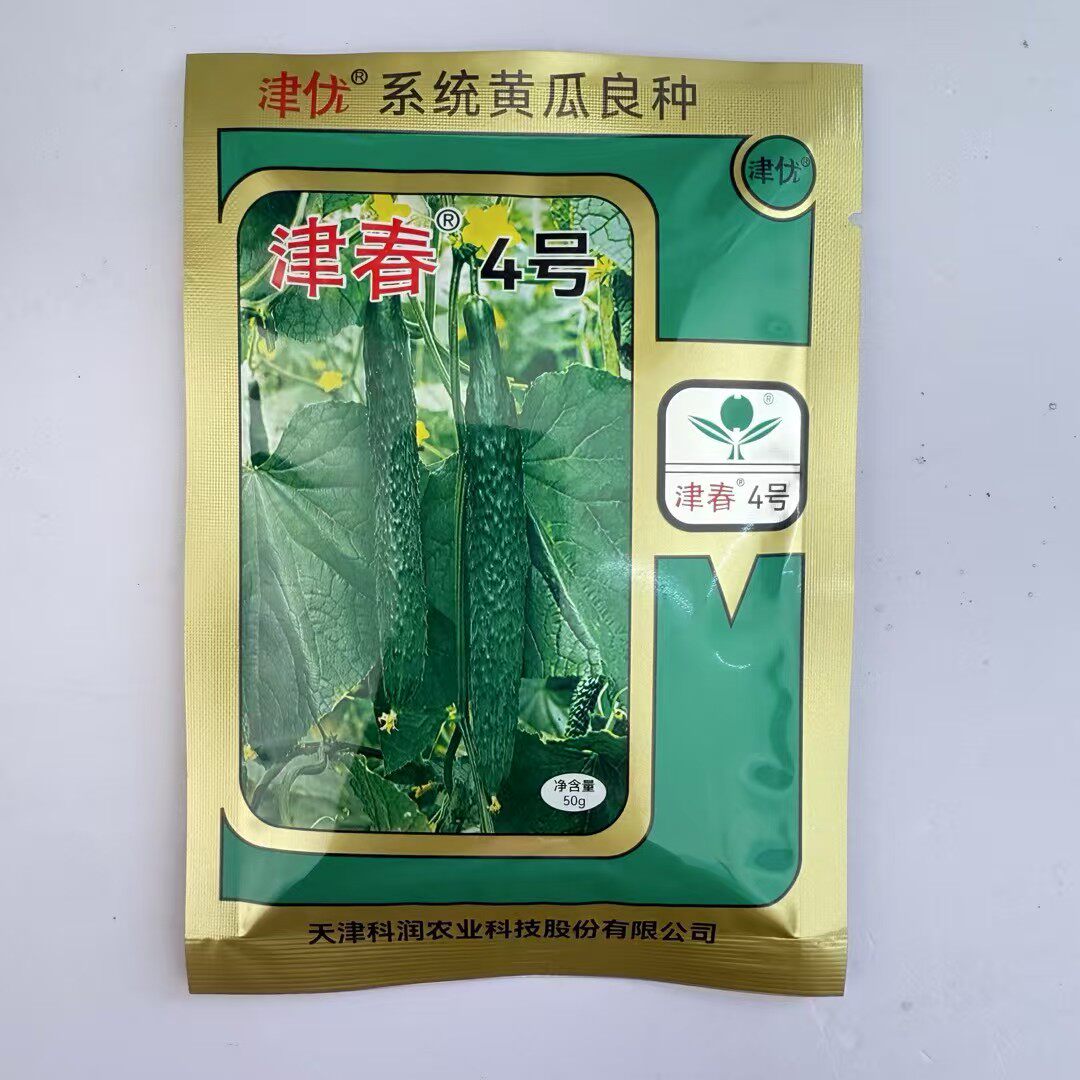 津春4号黄瓜种子高产绿心密刺大黄瓜耐热耐寒春夏秋播蔬菜种籽孑