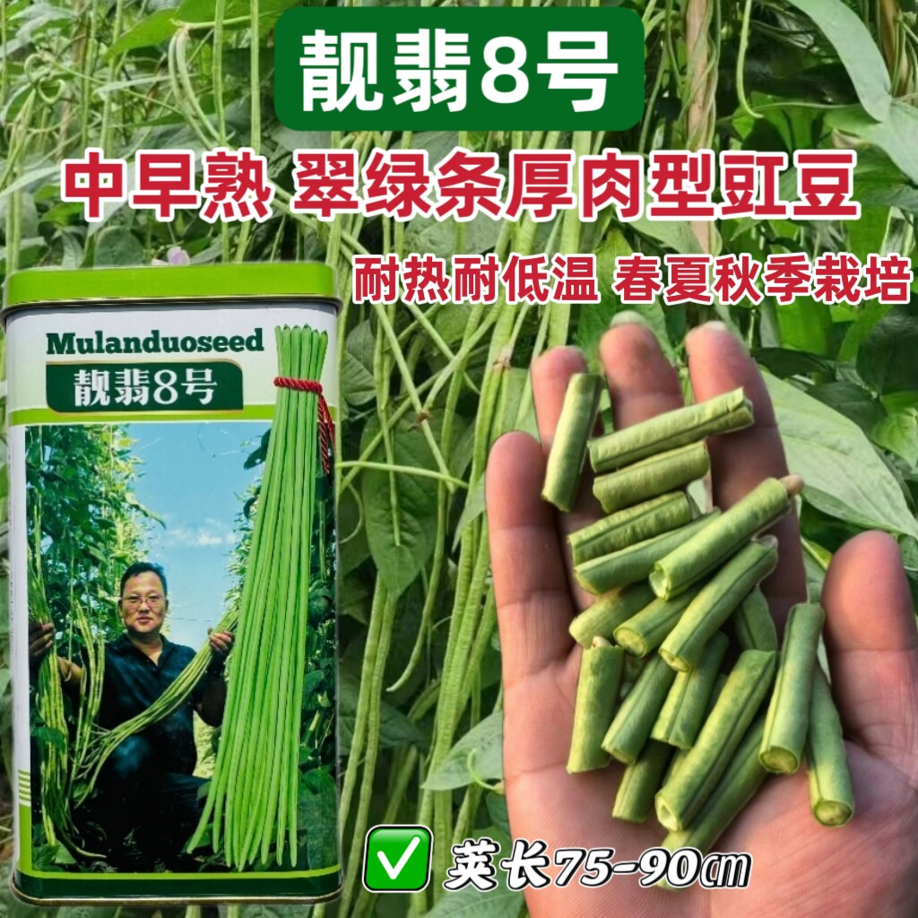 幕兰多高产豇豆种子架豆角长豆种籽靓翡8号耐热翠绿基地大棚露天
