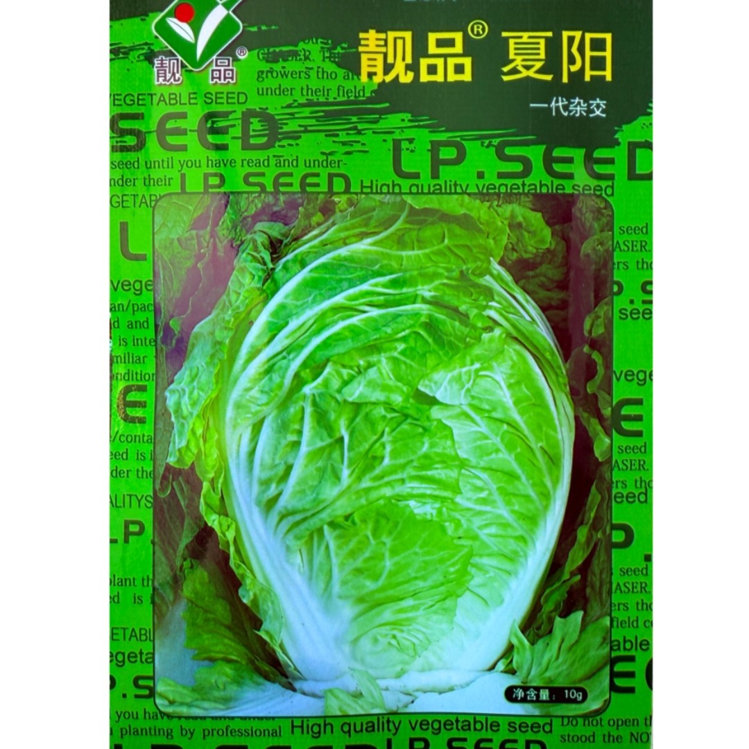 靓品夏阳大白菜种子早熟丰产结球白菜种籽耐热耐湿农家蔬菜种孑籽