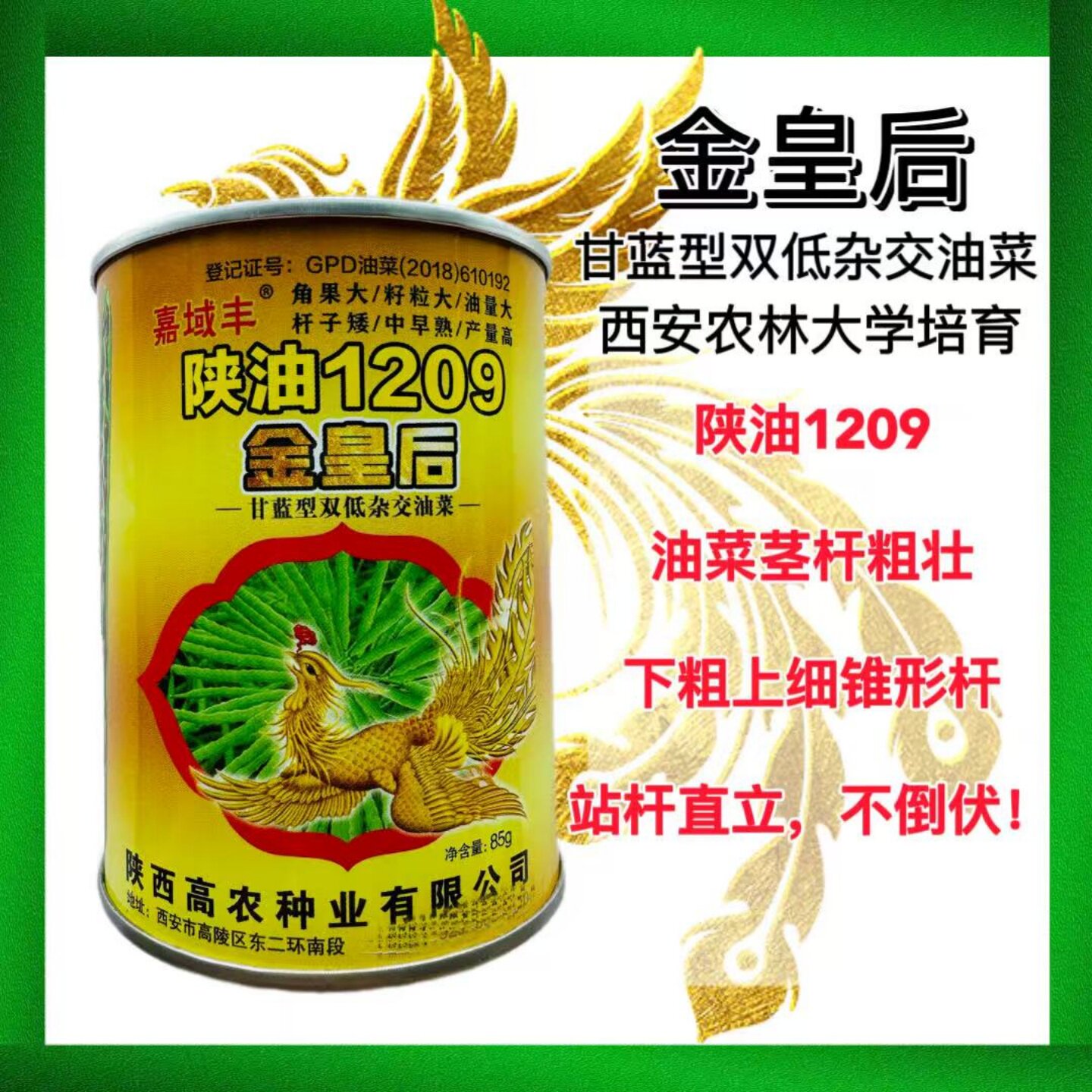 陕油1209金皇后油菜种子甘蓝型双低矮杆大粒高油杂交油菜籽