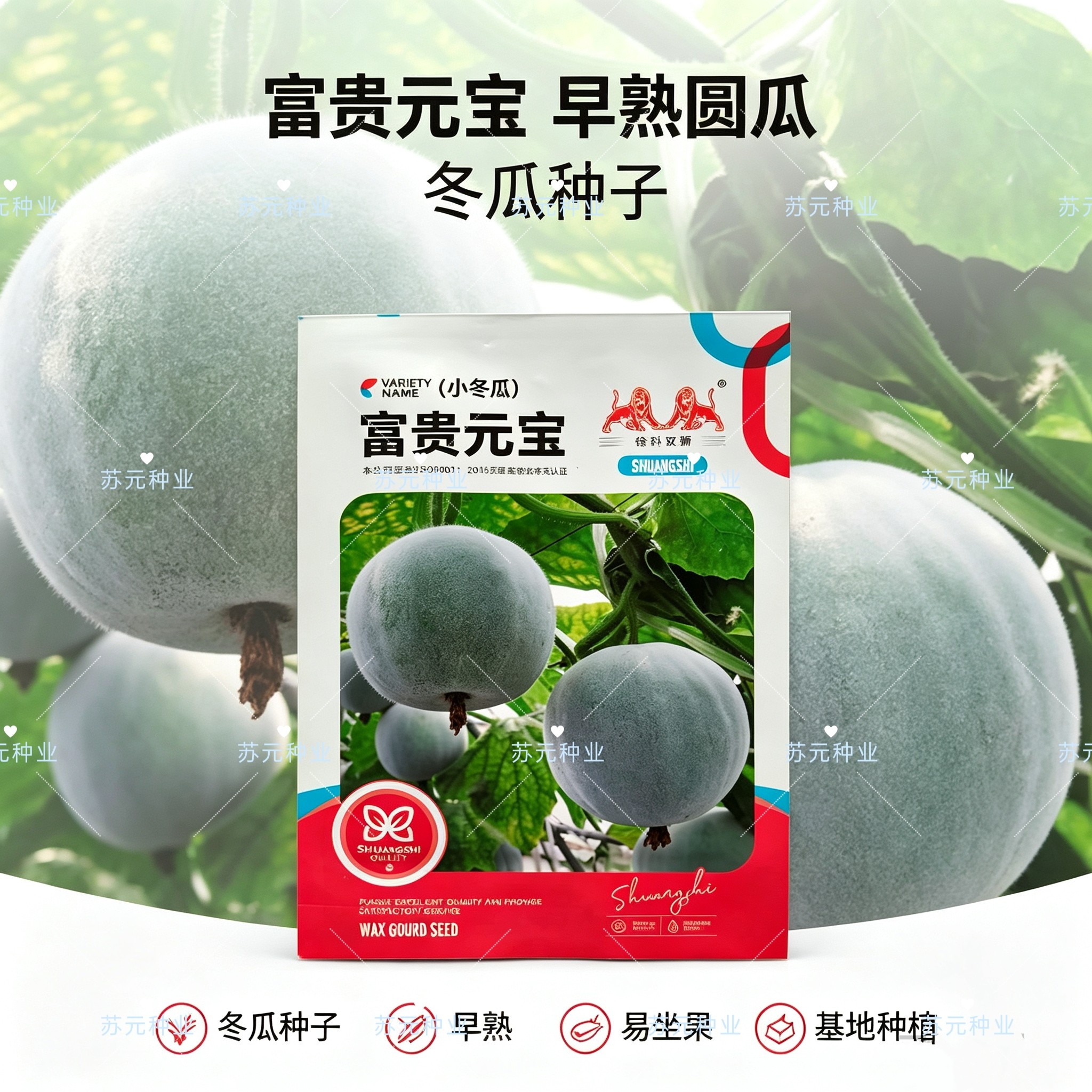 富贵元宝冬瓜种子中早熟抗性强圆筒型粉皮小冬瓜籽果腔小口感脆甜